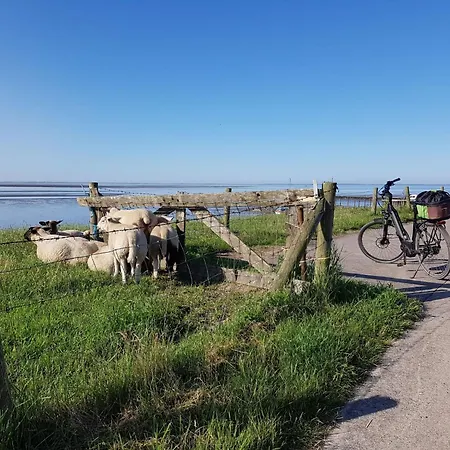 K16 Freistehendes In Eckwarderhoerne By Interhome Prázdninový dům