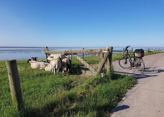 K16 Freistehendes In Eckwarderhoerne By Interhome Σπίτι διακοπών